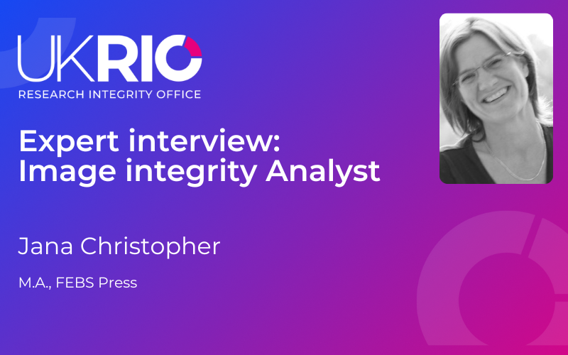 Expert interview: image integrity analyst